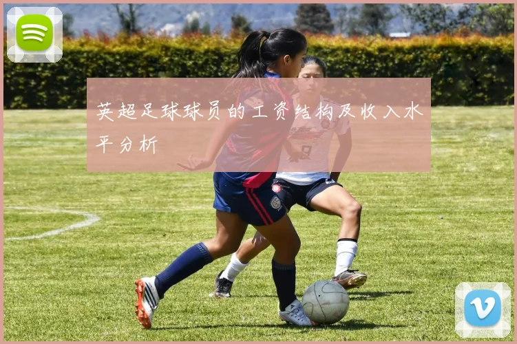 英超足球球员的工资结构及收入水平分析
